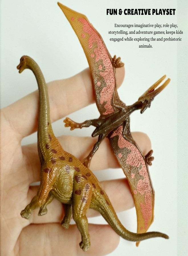 Mallexo مجموعة ألعاب ديناصورات واقعية من ماليكسو للأطفال، 12 قطعة، مجسمات ديناصورات تي-ريكس ما قبل التاريخ، لعبة حيوانات مصغرة للأولاد والبنات، هدية عيد ميلاد للأطفال، مجموعة مجسمات حيوانات الديناصورات، أدوات تعليمية - حجم صغير - Image 4